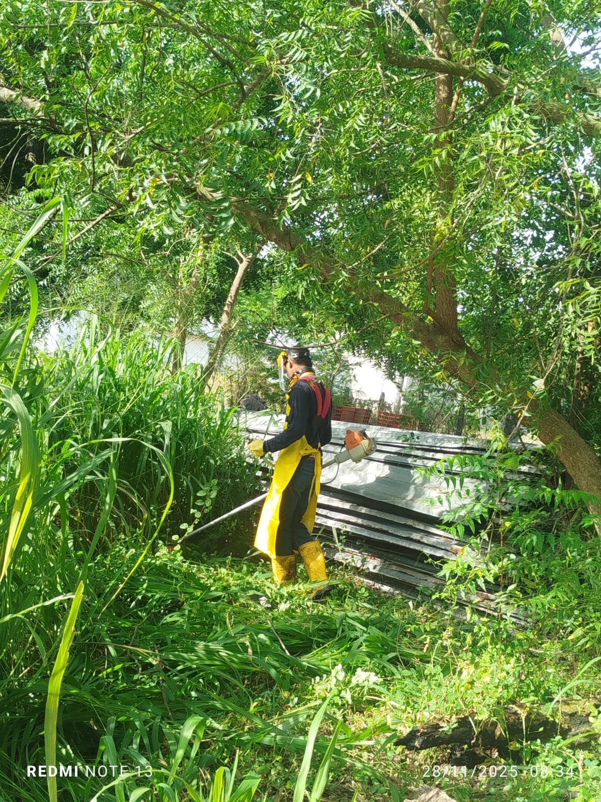 Operario realiza labores de desmonte y cuidado de exteriores