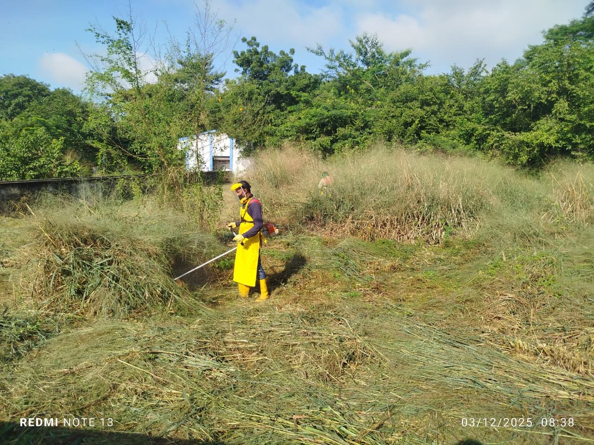 Labores de recuperación de un área verde empresarial