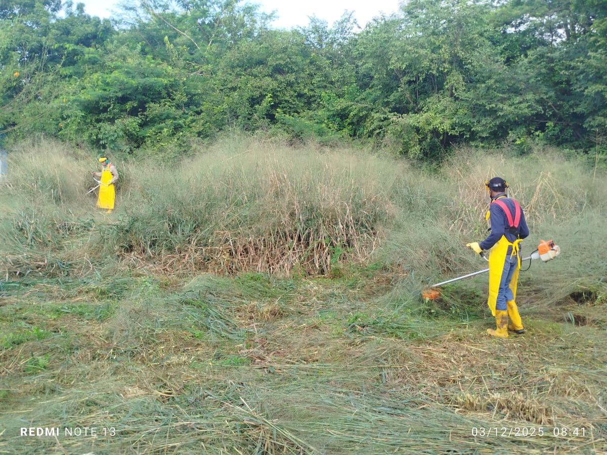 Operario realiza desmonte y limpieza en un lote