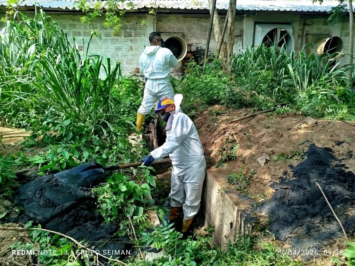 Operarios de Seiman limpian una estructura de drenaje en exteriores